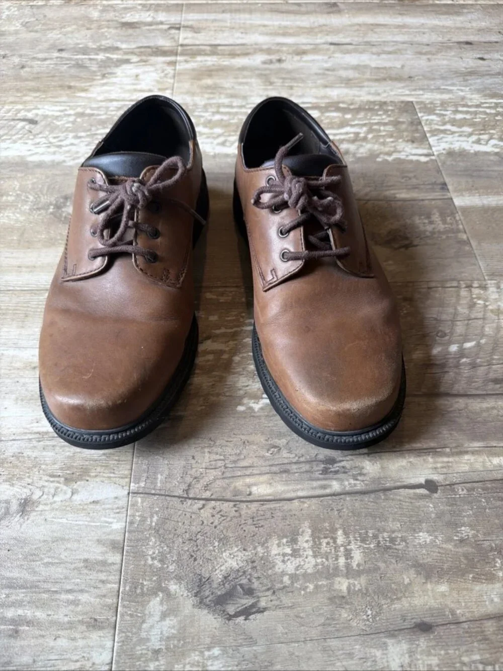 ROCKPORT Waterproof HydroShield Casual Brown Safety Shoes Men's 10.5 XW